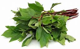 Gongura Leaves Bunch 200g Approx